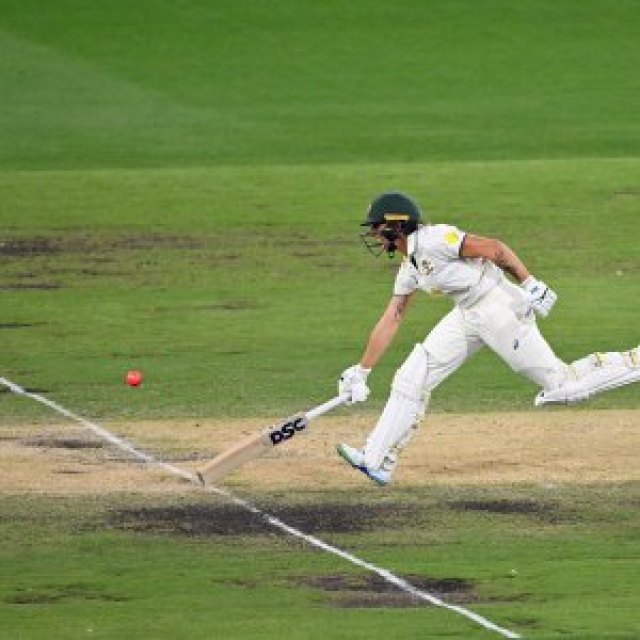 Cricket