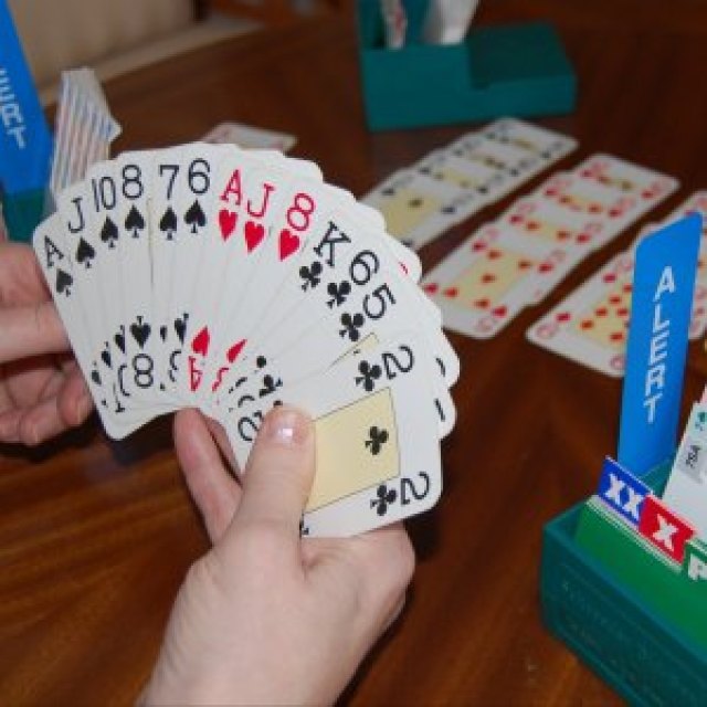 Bridge Club – Winslow