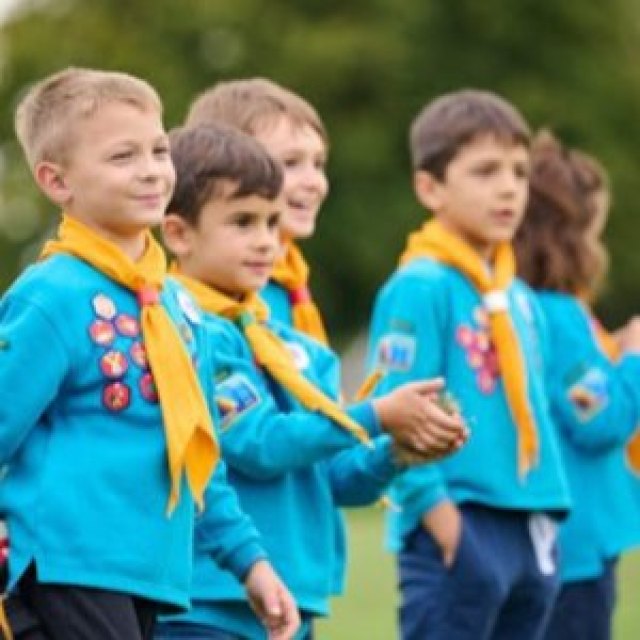 Beavers, Cubs and Scouts