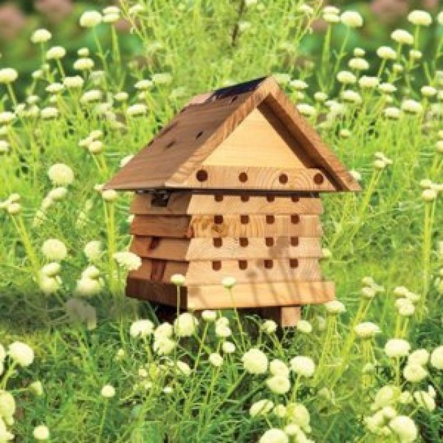 Local Beekeepers Need Your Help