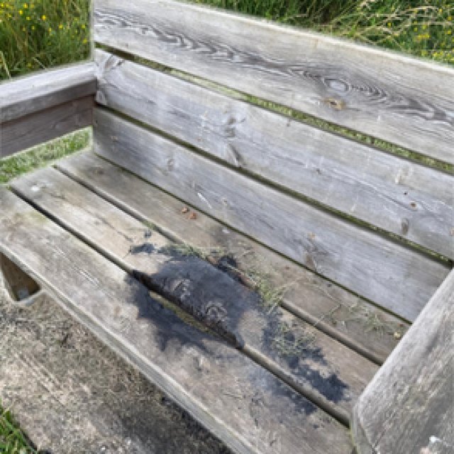 Vandalism and fire damage at Coronation Meadow