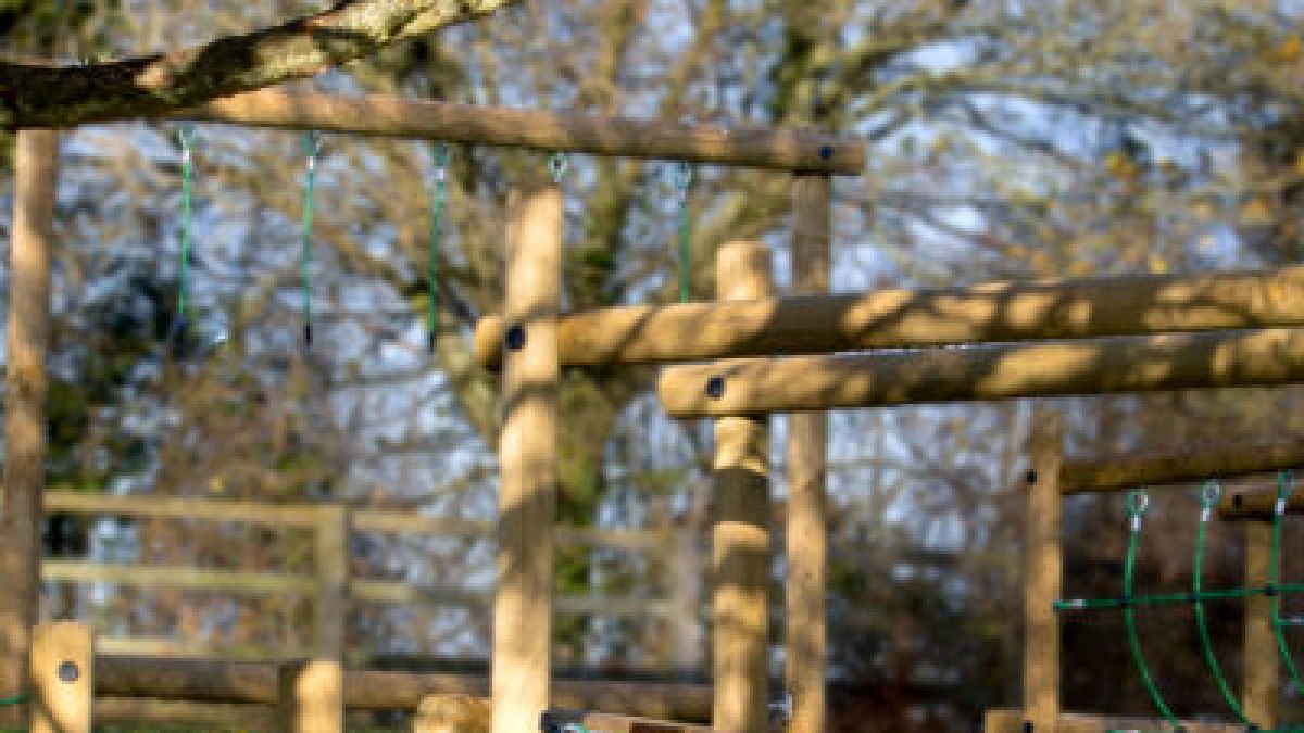 Activity trail