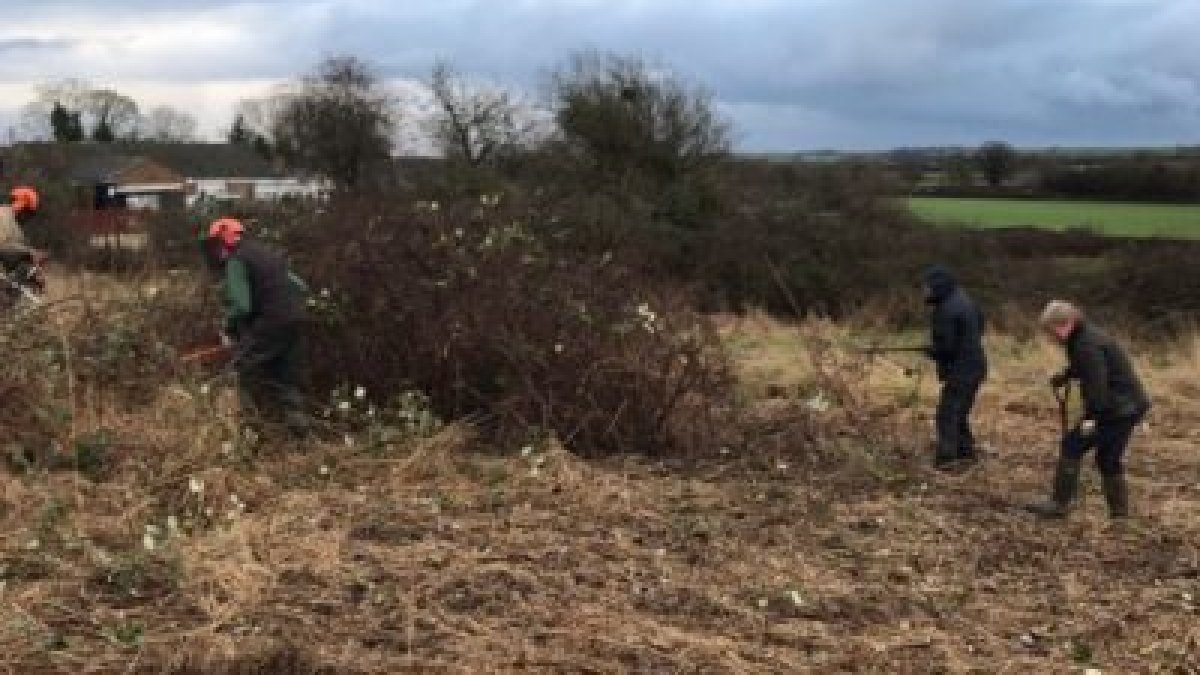 Volunteers clearing the meadow