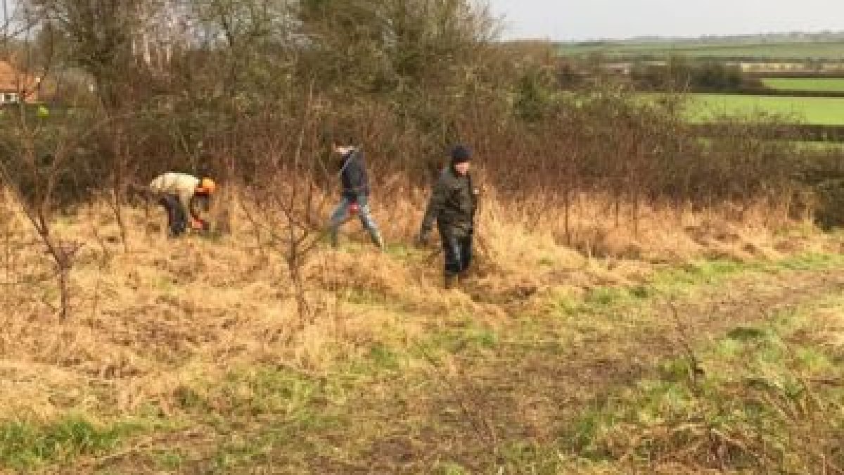 Volunteers working in the meadow