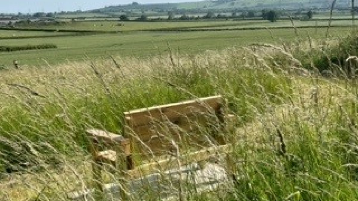 A meadow bench and view