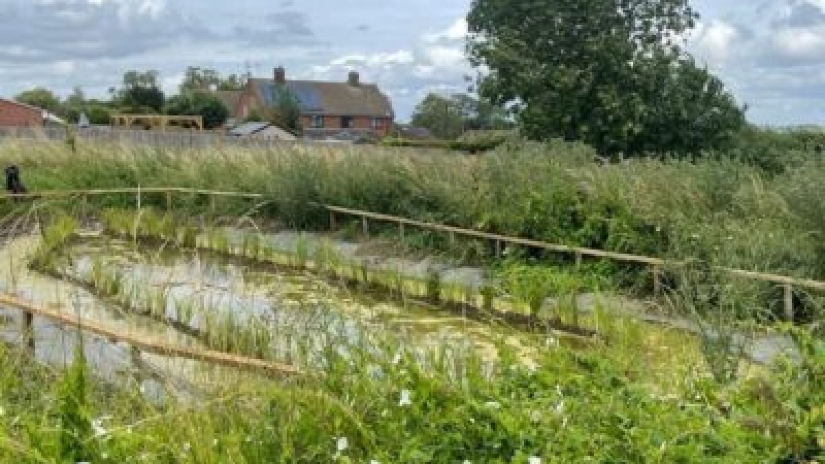 Completed fencing